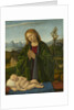 Madonna Adoring the Child, c.1520 by Marco Basaiti