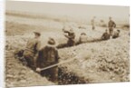 U.S. Marines in France Digging in, 1917-19 by American Photographer