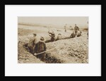 U.S. Marines in France Digging in, 1917-19 by American Photographer
