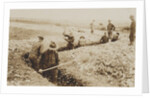 U.S. Marines in France Digging in, 1917-19 by American Photographer