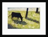 Black Cow in a Meadow, 1881 by Georges Pierre Seurat