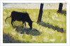 Black Cow in a Meadow, 1881 by Georges Pierre Seurat