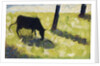 Black Cow in a Meadow, 1881 by Georges Pierre Seurat