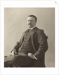 Theodore Roosevelt by Unknown photographer
