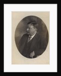 President Theodore Roosevelt, sitting side face by Anonymous