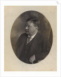 President Theodore Roosevelt, sitting side face by Anonymous
