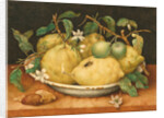 Still Life with a Bowl of Citrons, c.1640 by Giovanna Garzoni