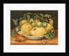Still Life with a Bowl of Citrons, c.1640 by Giovanna Garzoni