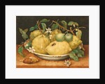 Still Life with a Bowl of Citrons, c.1640 by Giovanna Garzoni