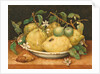 Still Life with a Bowl of Citrons, c.1640 by Giovanna Garzoni
