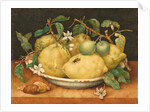 Still Life with a Bowl of Citrons, c.1640 by Giovanna Garzoni