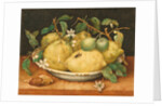 Still Life with a Bowl of Citrons, c.1640 by Giovanna Garzoni