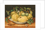 Still Life with a Bowl of Citrons, c.1640 by Giovanna Garzoni