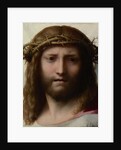Head of Christ, c.1530 by (c.1489-1534) Correggio
