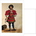 A Venetian Traveller by Jan van Grevenbroeck