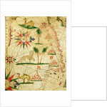 The North Coast of Africa by Pietro Giovanni Prunes