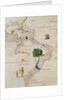 South America, from an Atlas of the World in 33 Maps, Venice, 1st September 1553 by Battista Agnese