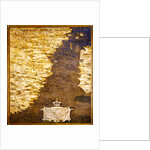 Map of the Cape of Good Hope by Stefano Buonsignori