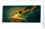 The Siren 1893 by Giulio Aristide Sartorio