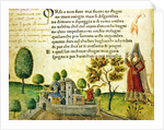 Fol. 17v, 'Orso e non furo mai fiumi ne stagni' by Italian School