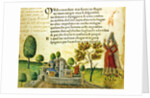 Fol. 17v, 'Orso e non furo mai fiumi ne stagni' by Italian School