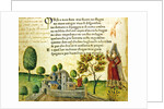 Fol. 17v, 'Orso e non furo mai fiumi ne stagni' by Italian School