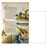 Almo Sol, quella fronde ch'io sol amo by Italian School