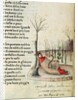 Fol. 52r from 'Canzoniere e Trionfi' by Petrarch, c.1470 by Italian School