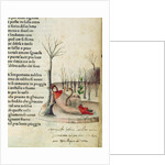 Fol. 52r from 'Canzoniere e Trionfi' by Petrarch, c.1470 by Italian School