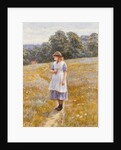 Daydreamer, 1878 by Helen Allingham