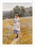 Daydreamer, 1878 by Helen Allingham