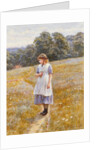 Daydreamer, 1878 by Helen Allingham