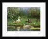 Ducks on a riverbank by David Adolph Constant Artz