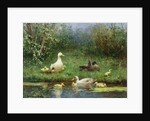 Ducks on a riverbank by David Adolph Constant Artz