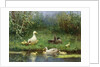 Ducks on a riverbank by David Adolph Constant Artz
