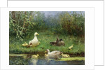 Ducks on a riverbank by David Adolph Constant Artz