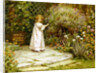 My Garden by William Ashburner