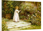 My Garden by William Ashburner