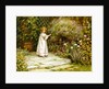 My Garden by William Ashburner