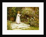 My Garden by William Ashburner