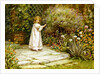 My Garden by William Ashburner