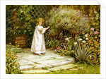 My Garden by William Ashburner