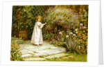 My Garden by William Ashburner