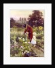 Grandad's Garden by Rose Maynard Barton