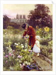 Grandad's Garden by Rose Maynard Barton