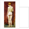 Study of a nude by Murray Bladon