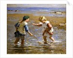 Playing in the Shallows by William Marshall Brown