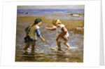 Playing in the Shallows by William Marshall Brown