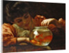 The Goldfish Bowl by Thomas Benjamin Kennington