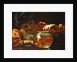 The Goldfish Bowl by Thomas Benjamin Kennington